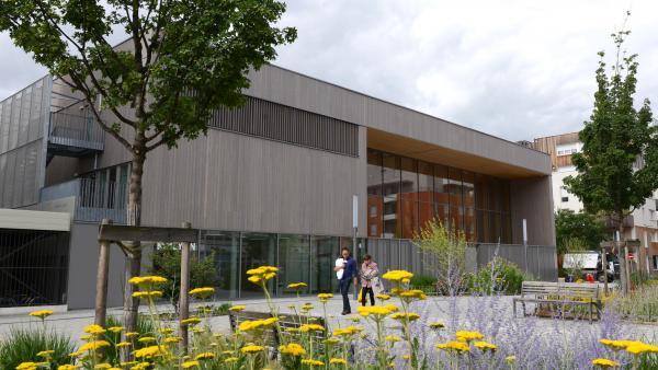 Le gymnase Alice Milliat à Lyon 7 a remporté le 1er prix national de la construction bois 2017 (catégorie "bâtiments publics éducation & culture"). Le Gymnase Alice Milliat à Lyon 7 brefeco.com