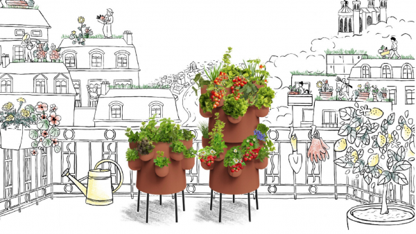 Métropole de Lyon. Ils révolutionnent le bac à fleurs de balcon avec leur  potager-composteur