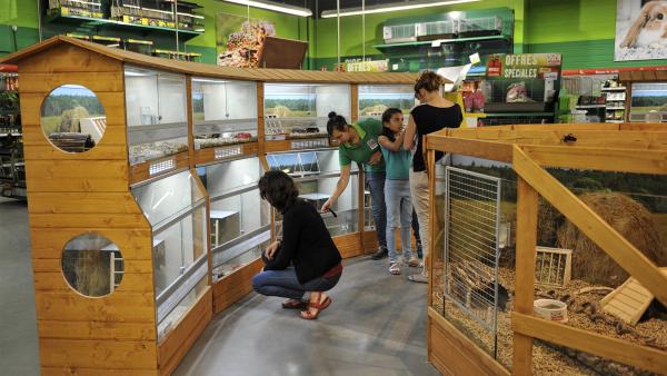 Maxi Zoo Complete Sa Meute De Magasins Bref Eco