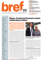 Bref Eco n°2625
