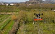 agri.builders - traitement arbres fruitiers phéromones