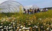 Espace test agricole métropolitain