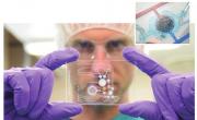 La microfluidique est très demandée par le secteur médical mais aura probablement d’autres applications dans l’avenir.