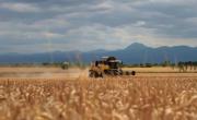Limagrain est détenu par 1.300 agriculteurs installés dans la plaine de Limagne.
