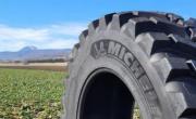 michelin