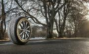 Michelin Bref Eco