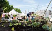 "La Ferme des Artisans", un potager géant au cœur de Villeurbanne accompagné par Alter'Incub Auvergne Rhône-Alpes.