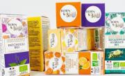  groupe Picourt - bref eco