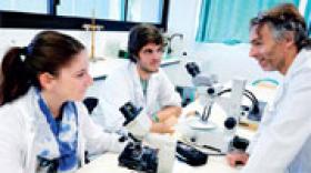 L'Agefpi met en ligne son fonds de dotation 