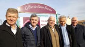 Beaujolais : Dubœuf, Boisset et le Cellier des Saint-Etienne créent une société commune