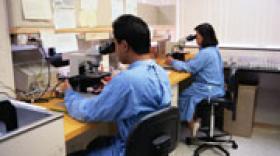 Biotechnologies et santé : l'Etat a investi plus d'1 milliard d'euros dans les projets de R&D