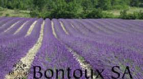 La famille Bontoux reprend les rênes