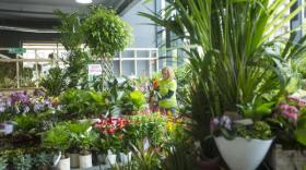 Botanic s'implante en Bretagne