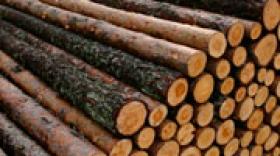 Botanic lance une offre autour du chauffage bois