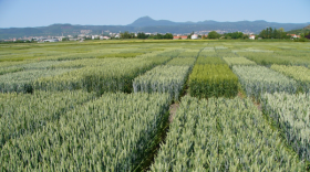 Rapprochement entre Vegepolys Valley et Polymeris