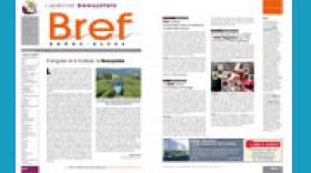 Les actualités économiques de Bref Rhône-Alpes cette semaine