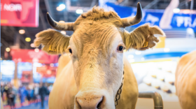  La Région Auvergne-Rhône-Alpes est présente au Salon International de l’Agriculture