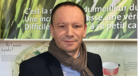 Guillaume Blanloeil, brefeco.com