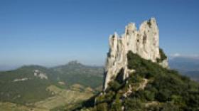 Création officielle du PNR des Baronnies Provençales 
