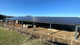 Dischamp Énergies va installer 35 stations photovoltaïques en Aura