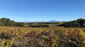 Le Domaine Saint-Pierre s'étend sur six hectares.