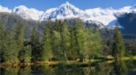 La DRAAF Auvergne-Rhône-Alpes confirmée à Clermont-Ferrand