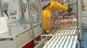 Ermatec se rapproche de BFR Groupe