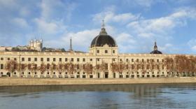 intercontinental lyon -bref eco