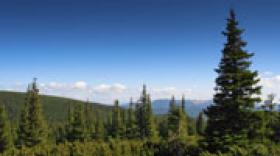 Foncière Forestière finalise l’acquisition de la forêt du Veyton