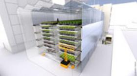 FUL, le projet de ferme urbaine à Lyon