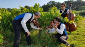 Série d'été #11 : Le Domaine de Cousignac met son vin en musique