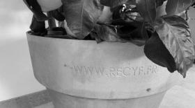 recyf -bref eco