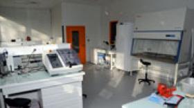 L'Ecole Centrale de Lyon inaugure une plateforme sur le  processus de vieillissement
