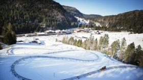 La piste de luge sur rail de La Bresse.