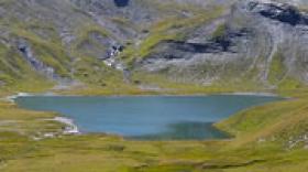 6 000 ans d'élevage archivés au fond du lac d'Anterne