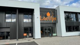 lactips