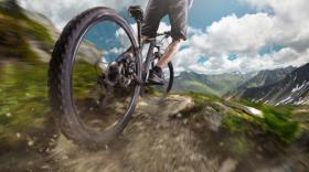 Le marché de la location du vélo est encore peu structuré.