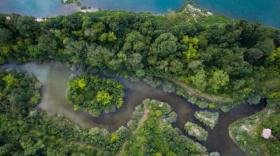 La Métropole de Lyon se jette à l’eau