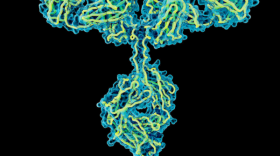 Lys Therapeutics a développé une biothérapie innovante pour le traitement des maladies neurologiques.