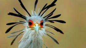 #Série d'été : Le parc des oiseaux à Villars-les-Dombes l'exotisme aux portes de Lyon et de Genève