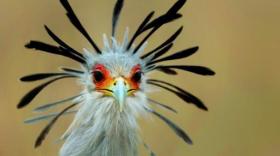 Le parc des oiseaux s'est équipé de la solution PayinTech - bref eco