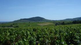 La Région renforce son plan d’aide au Beaujolais