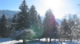 La Montagne de l'Ain commence plutôt bien l'hiver