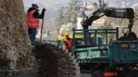 La Ville de Lyon fait le mur... vert