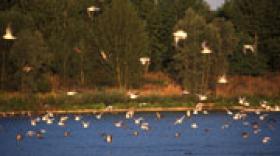 Un prix Natura 2000 pour le Département de la Loire