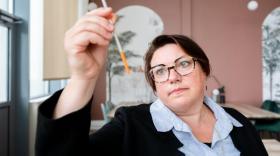 Cécile Chamignon NMR Vibe