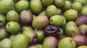 olives de nyons