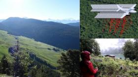 L'ONF Haute-Savoie va récolter des données précises sur les quelques 175.000 hectares de forêts du Département.