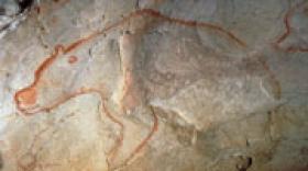 Début des travaux de l'Espace de restitution de la Grotte Chauvet