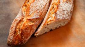 Bref + 2188 : Philibert Savours à la baguette